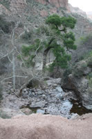 Southwest US Photo