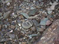 Southwest US Photo