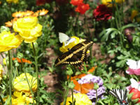 Southwest US Photo