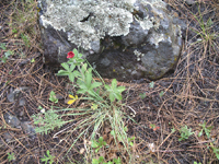 Southwest US Photo