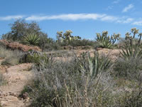 Southwest US Photo